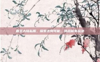 霸王大陆私服，探索无限可能，挑战稀有玩法
