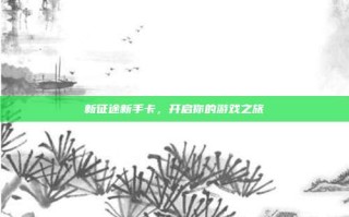 新征途新手卡，开启你的游戏之旅