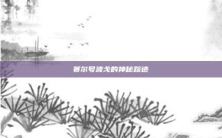 赛尔号波戈的神秘踪迹