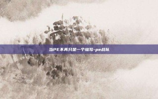 当PE不再只是一个缩写-pe战队