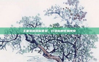 王者荣耀超标套装，打造你的专属传奇
