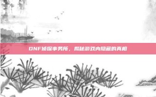 DNF侦探事务所，揭秘游戏内隐藏的真相