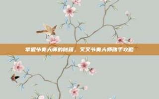 掌握节奏大师的秘籍，叉叉节奏大师助手攻略