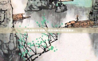 热血无赖开车视角，游戏攻略与技巧全解析