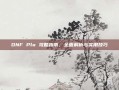 DNF Plu 攻略指南，全面解析与实用技巧