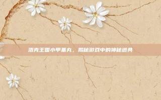 洛克王国小甲基丸，揭秘游戏中的神秘道具