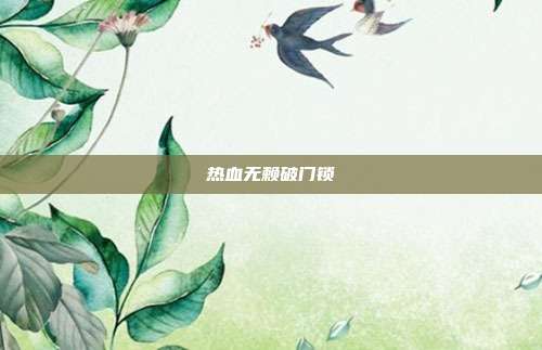 热血无赖破门锁-第1张图片-速奇网 热血无赖破门锁-第1张图片-速奇网