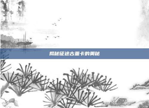 揭秘征途古董卡的奥秘-第1张图片-速奇网 揭秘征途古董卡的奥秘-第1张图片-速奇网
