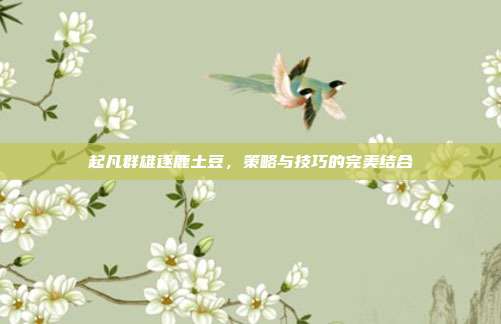 起凡群雄逐鹿土豆,策略与技巧的完美结合-第1张图片-速奇网 起凡群雄逐鹿土豆,策略与技巧的完美结合-第1张图片-速奇网