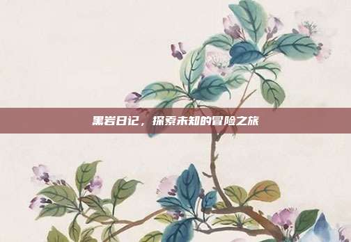 黑岩日记,探索未知的冒险之旅-第1张图片-速奇网 黑岩日记,探索未知的冒险之旅-第1张图片-速奇网