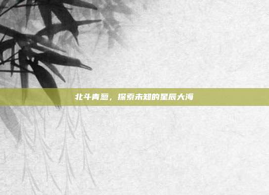 北斗青葱,探索未知的星辰大海-第1张图片-速奇网 北斗青葱,探索未知的星辰大海-第1张图片-速奇网