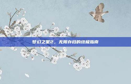 梦幻之星2,无限存档的终极指南-第1张图片-速奇网 梦幻之星2,无限存档的终极指南-第1张图片-速奇网