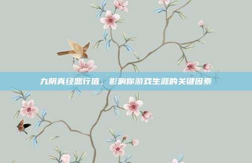 九阴真经恶行值，影响你游戏生涯的关键因素-第1张图片-速奇网