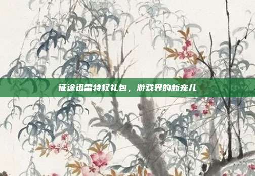 征途迅雷特权礼包，游戏界的新宠儿-第1张图片-速奇网