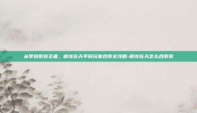 从零到紫装王者，御龙在天平民玩家合紫全攻略-御龙在天怎么合紫装-第1张图片-速奇网