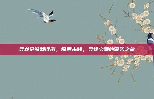 寻龙记游戏评测，探索未知，寻找宝藏的冒险之旅-第1张图片-速奇网