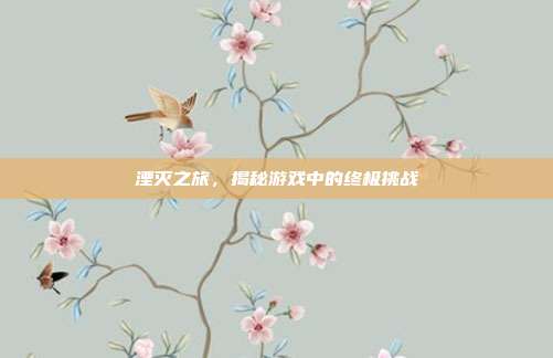 湮灭之旅，揭秘游戏中的终极挑战-第1张图片-速奇网