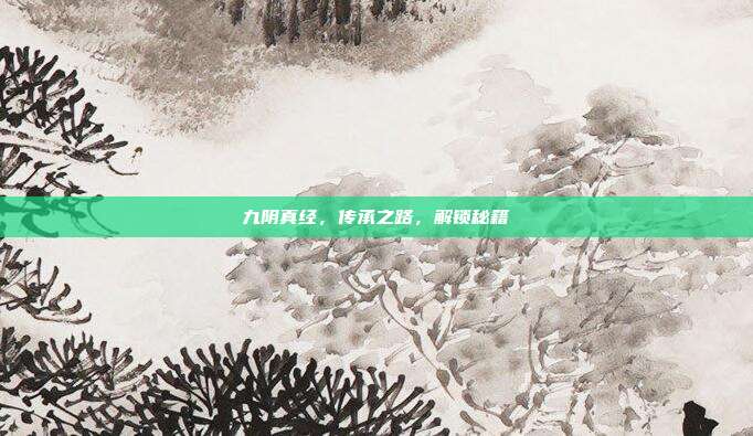 九阴真经,传承之路,解锁秘籍-第1张图片-速奇网 九阴真经,传承之路,解锁秘籍-第1张图片-速奇网