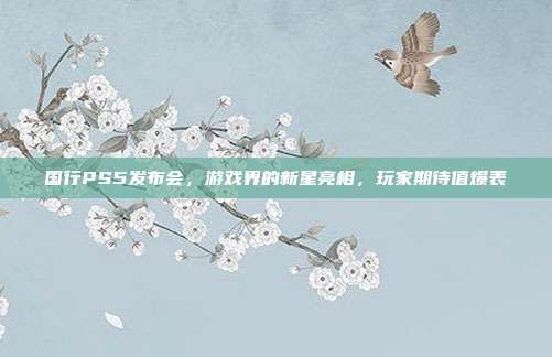 国行PS5发布会,游戏界的新星亮相,玩家期待值爆表-第1张图片-速奇网 国行PS5发布会,游戏界的新星亮相,玩家期待值爆表-第1张图片-速奇网