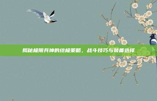 揭秘极限兵神的终极策略,战斗技巧与装备选择-第1张图片-速奇网 揭秘极限兵神的终极策略,战斗技巧与装备选择-第1张图片-速奇网