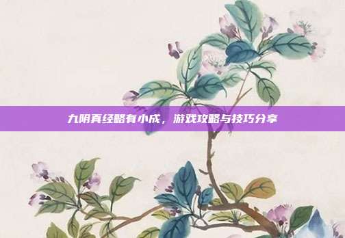 九阴真经略有小成,游戏攻略与技巧分享-第1张图片-速奇网 九阴真经略有小成,游戏攻略与技巧分享-第1张图片-速奇网