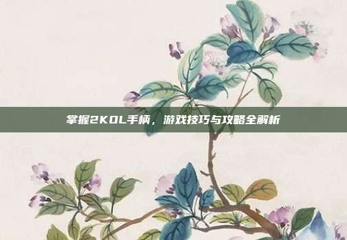 掌握2KOL手柄,游戏技巧与攻略全解析-第1张图片-速奇网 掌握2KOL手柄,游戏技巧与攻略全解析-第1张图片-速奇网