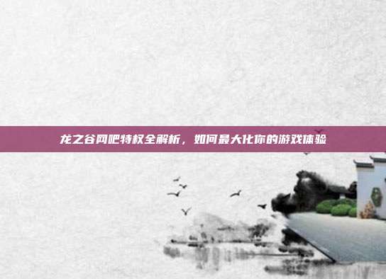龙之谷网吧特权全解析,如何最大化你的游戏体验-第1张图片-速奇网 龙之谷网吧特权全解析,如何最大化你的游戏体验-第1张图片-速奇网