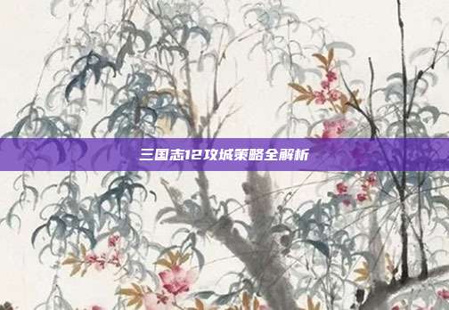 三国志12攻城策略全解析-第1张图片-速奇网 三国志12攻城策略全解析-第1张图片-速奇网