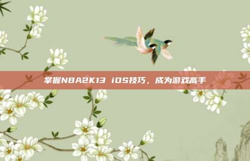 掌握NBA2K13 iOS技巧，成为游戏高手-第1张图片-速奇网