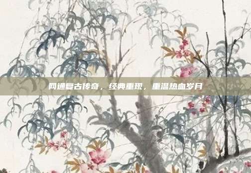 网通复古传奇，经典重现，重温热血岁月-第1张图片-速奇网