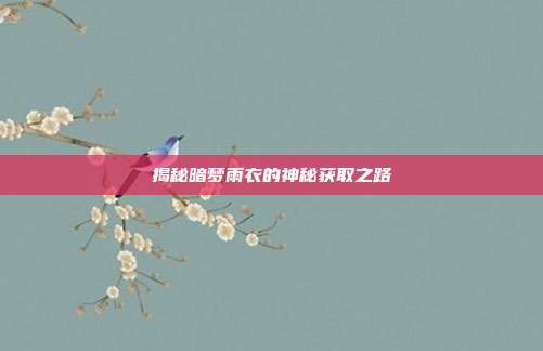 揭秘暗梦雨衣的神秘获取之路-第1张图片-速奇网 揭秘暗梦雨衣的神秘获取之路-第1张图片-速奇网