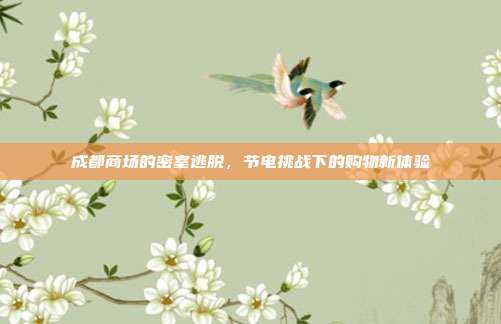 成都商场的密室逃脱，节电挑战下的购物新体验-第1张图片-速奇网
