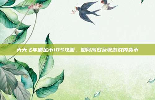 天天飞车刷金币iOS攻略,如何高效获取游戏内货币-第1张图片-速奇网 天天飞车刷金币iOS攻略,如何高效获取游戏内货币-第1张图片-速奇网