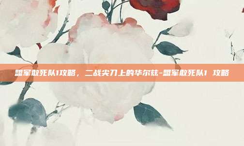 盟军敢死队1攻略，二战尖刀上的华尔兹-盟军敢死队1 攻略-第1张图片-速奇网