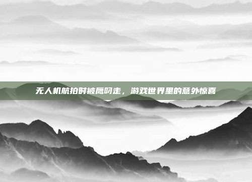 无人机航拍时被鹰叼走,游戏世界里的意外惊喜-第1张图片-速奇网 无人机航拍时被鹰叼走,游戏世界里的意外惊喜-第1张图片-速奇网