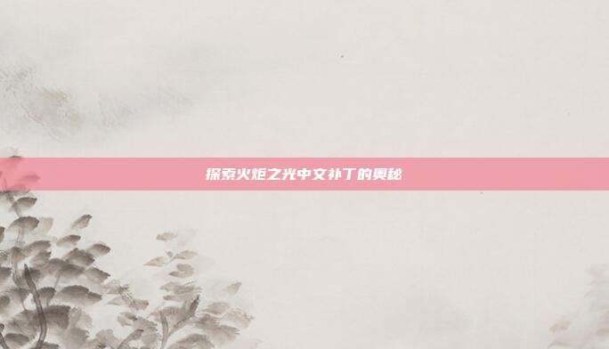 探索火炬之光中文补丁的奥秘-第1张图片-速奇网 探索火炬之光中文补丁的奥秘-第1张图片-速奇网