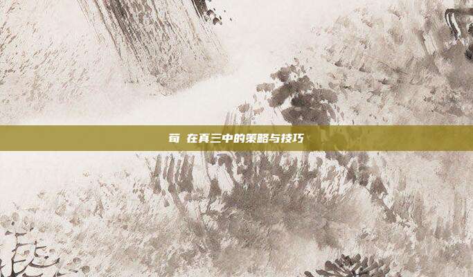 荀彧在真三中的策略与技巧-第1张图片-速奇网 荀彧在真三中的策略与技巧-第1张图片-速奇网