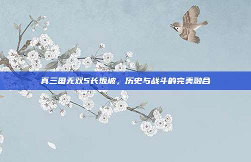 真三国无双5长坂坡,历史与战斗的完美融合-第1张图片-速奇网 真三国无双5长坂坡,历史与战斗的完美融合-第1张图片-速奇网