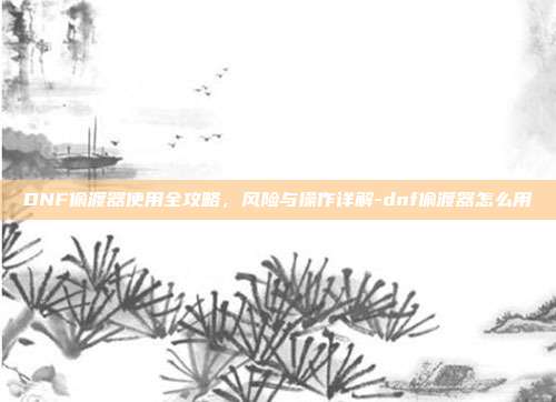 DNF偷渡器使用全攻略，风险与操作详解-dnf偷渡器怎么用-第1张图片-速奇网