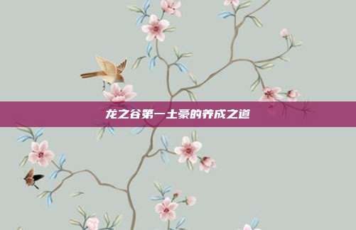 龙之谷第一土豪的养成之道-第1张图片-速奇网 龙之谷第一土豪的养成之道-第1张图片-速奇网