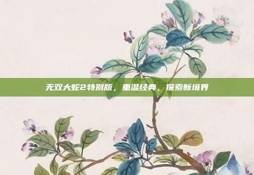无双大蛇2特别版,重温经典,探索新境界-第1张图片-速奇网 无双大蛇2特别版,重温经典,探索新境界-第1张图片-速奇网
