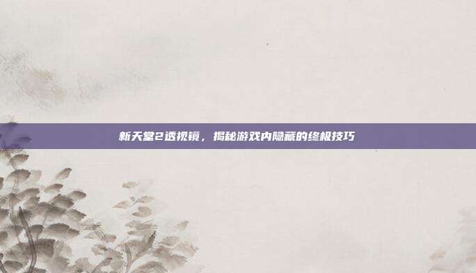 新天堂2透视镜,揭秘游戏内隐藏的终极技巧-第1张图片-速奇网 新天堂2透视镜,揭秘游戏内隐藏的终极技巧-第1张图片-速奇网
