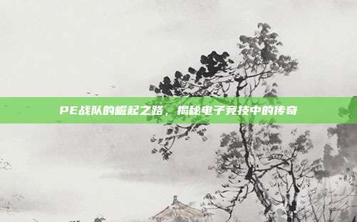 PE战队的崛起之路,揭秘电子竞技中的传奇-第1张图片-速奇网 PE战队的崛起之路,揭秘电子竞技中的传奇-第1张图片-速奇网