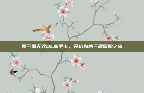 真三国无双OL新手卡，开启你的三国冒险之旅-第1张图片-速奇网