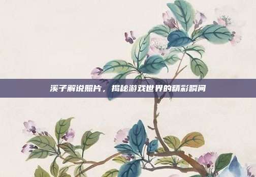 溪子解说照片,揭秘游戏世界的精彩瞬间-第1张图片-速奇网 溪子解说照片,揭秘游戏世界的精彩瞬间-第1张图片-速奇网