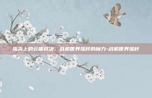 指尖上的云端对决，战机世界摇杆的魔力-战机世界摇杆-第1张图片-速奇网