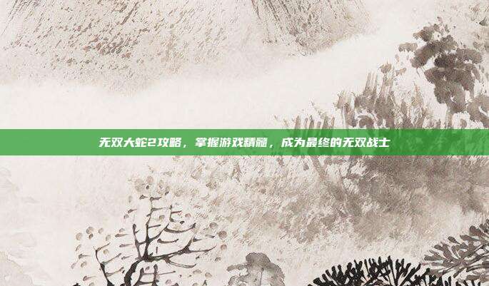 无双大蛇2攻略，掌握游戏精髓，成为最终的无双战士-第1张图片-速奇网