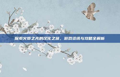 探索火炬之光的汉化之旅,游戏资讯与攻略全解析-第1张图片-速奇网 探索火炬之光的汉化之旅,游戏资讯与攻略全解析-第1张图片-速奇网