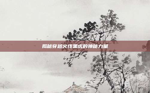 揭秘穿越火线黑虎的神秘力量-第1张图片-速奇网 揭秘穿越火线黑虎的神秘力量-第1张图片-速奇网