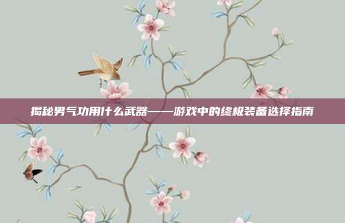 揭秘男气功用什么武器——游戏中的终极装备选择指南-第1张图片-速奇网